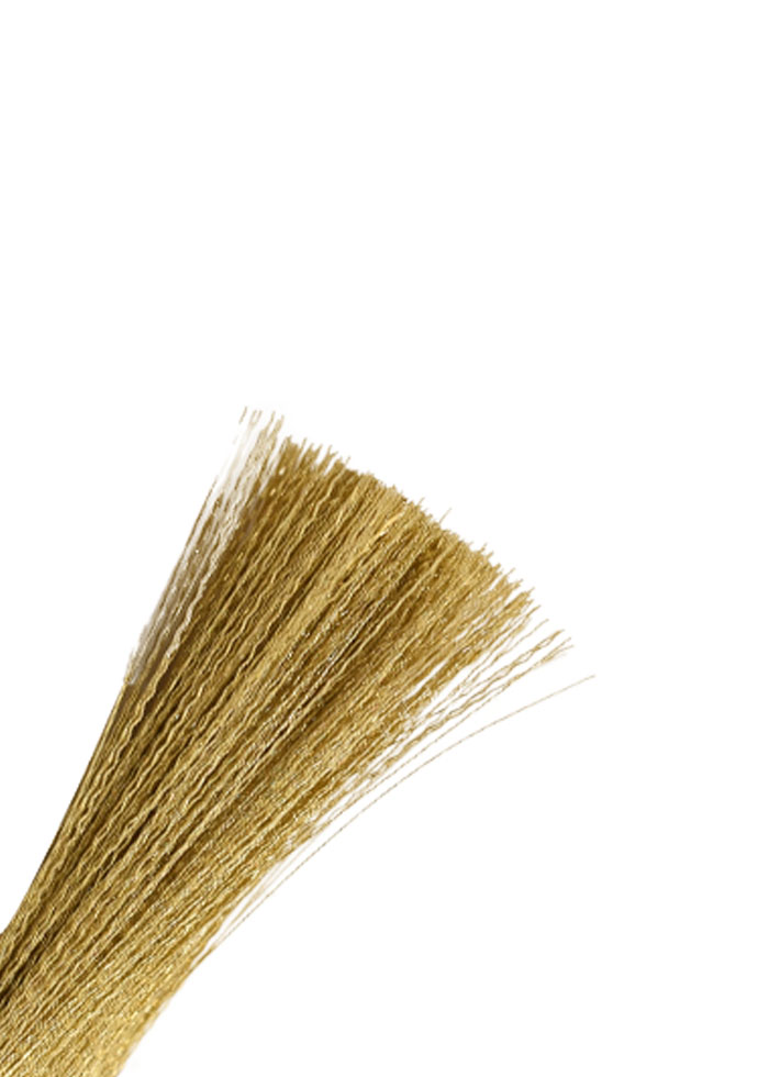 Brush-CYM6656